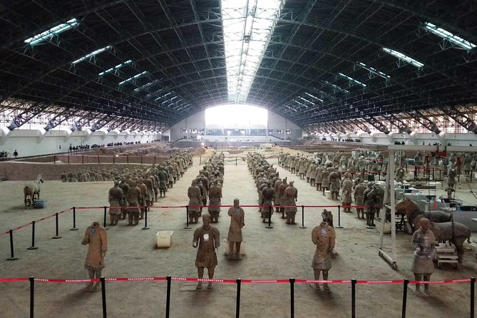 Xi'an Highlights Day Tour: Terracotta Warriors and City Sightseeing - Who should book this Xi’an tour?