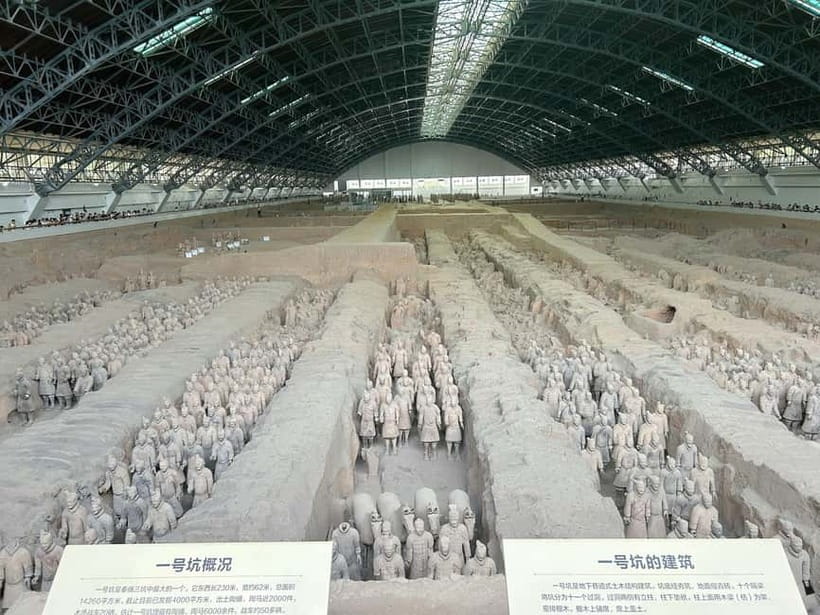 Xi'an in A Day: Terracotta Army+City Highlights+Family Lunch - Guides, vehicles, and the human side of the tour