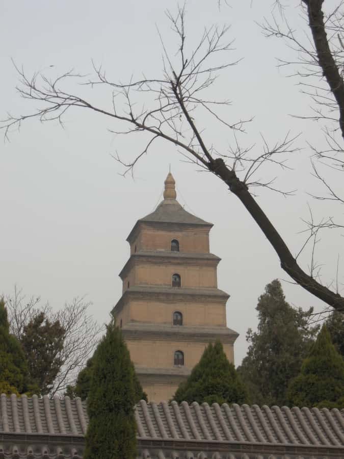 Xi'an: Terra-Cotta Warriors Entry with Optional Guide - Arrival and the Museum Visit