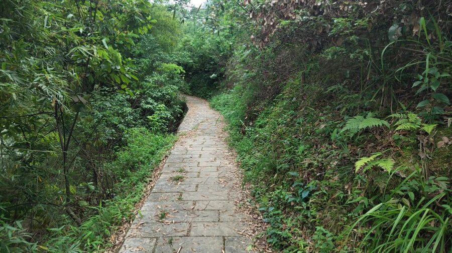 Yangshuo: Full-Day Private Countryside Hiking Tour - Transport, pickup, and the long-day rhythm