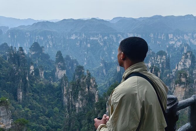 Zhangjiajie National Forest Park Entrance Ticket - Does a guide make a major difference?