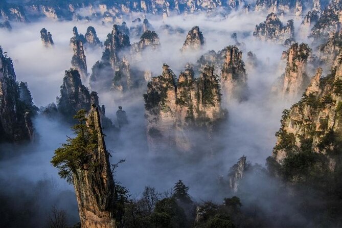 Zhangjiajie National Forest Park Entrance Ticket - What the ticket actually includes